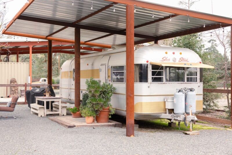 Jonna-Willemina-Photo-2